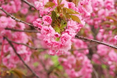 温州平阳6线下个人借款平台一站式服务，轻松解决资金难题