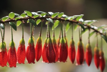 温州平阳6零用贷短借：轻松解决临时资金需求
