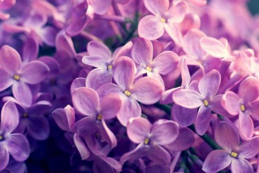 温州平阳6企业急用钱贷款攻略：快速融资解燃眉之急